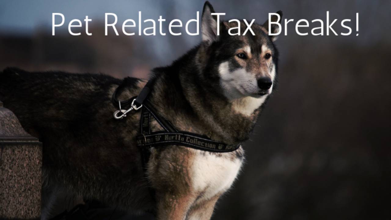Pet_Related_Tax_Breaks!.png