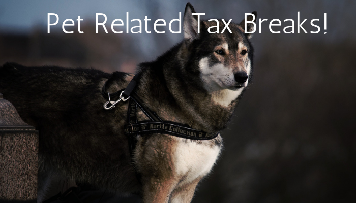 Are There Tax Breaks for Pet Owners?