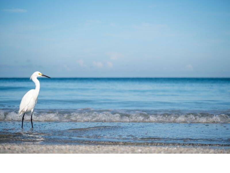 Must-Visit Parks and Nature Reserves in Boca Raton