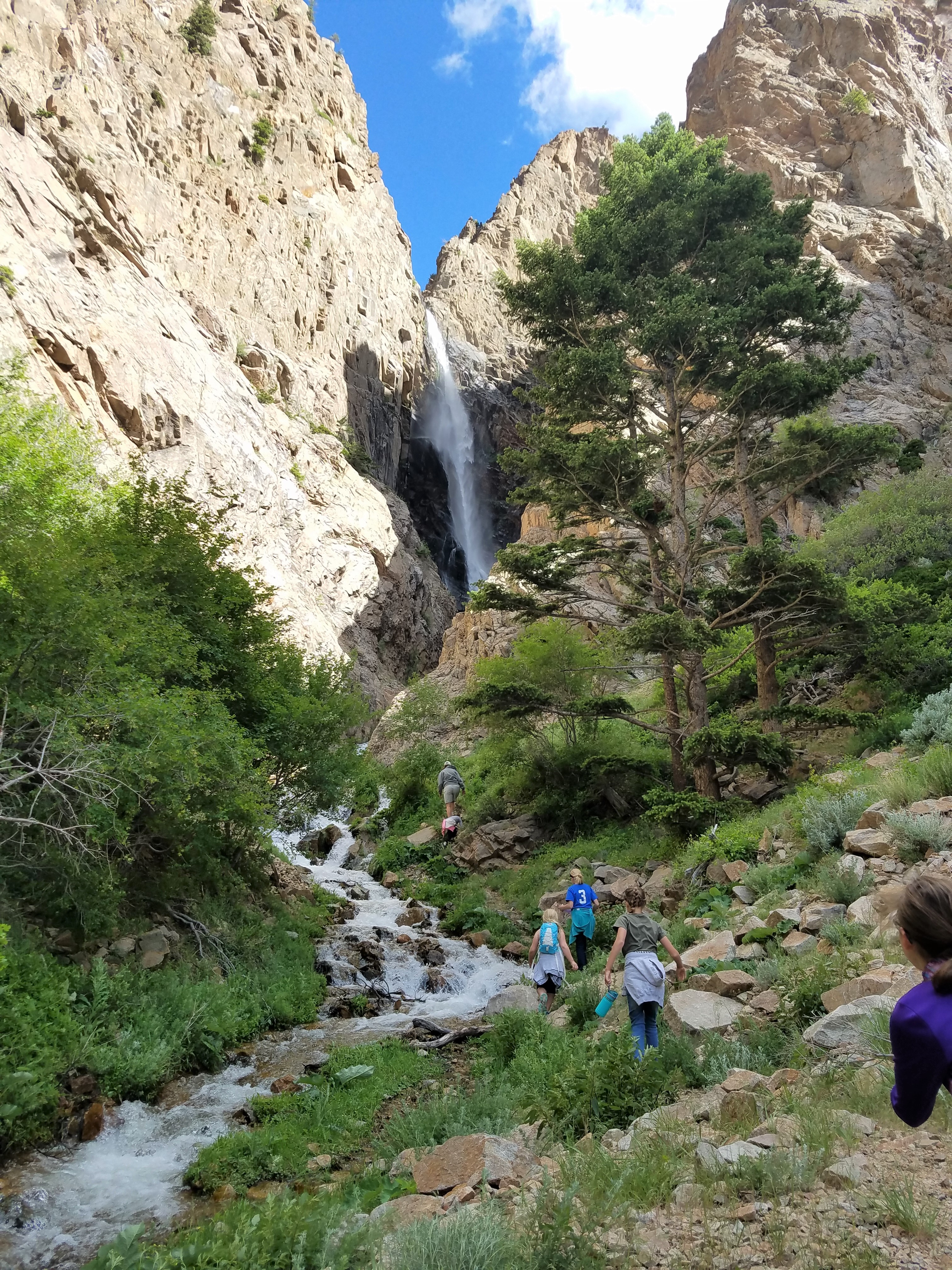 Bridal Veil Falls, Clark Wyoming