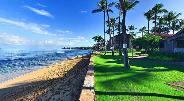 Check Out Papakea Beach Resort Maui Timeshare Interval