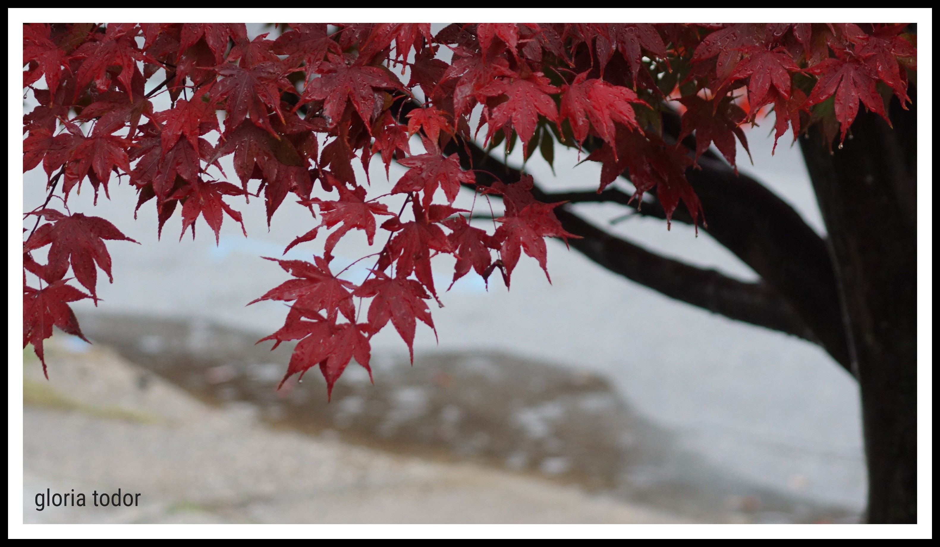 Upper Providence Township PA Homes For Sale Oct 2022