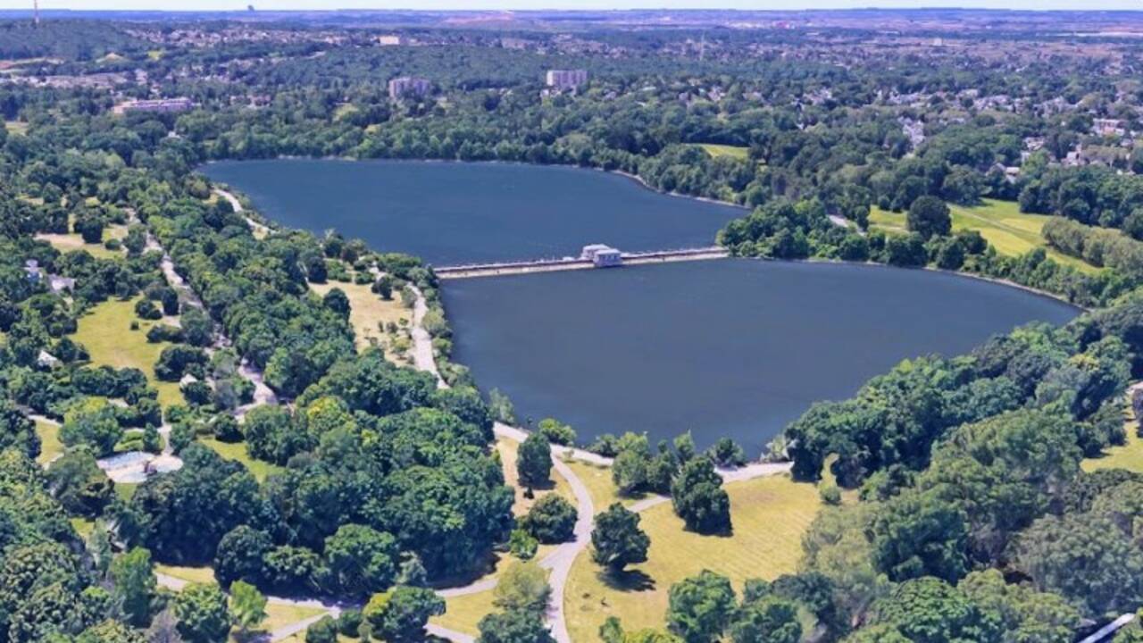 silver_lake_birdseye_view_staten_island.jpg