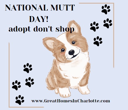 National Mutt Day: July 31. Mutts Are Pawsome!