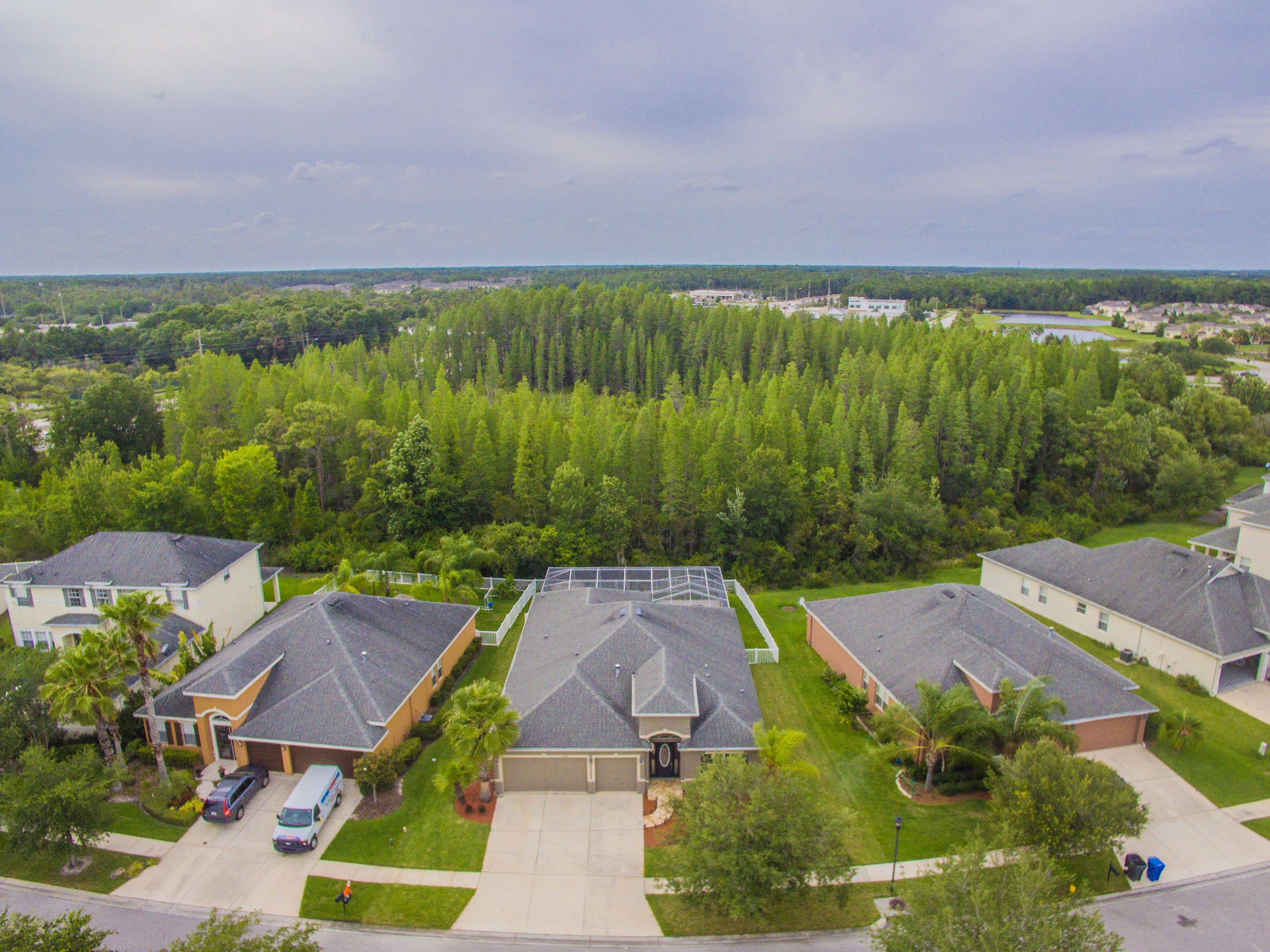 Homes for sale in Live Oak 20048 Bluff Oak Blvd Tampa F