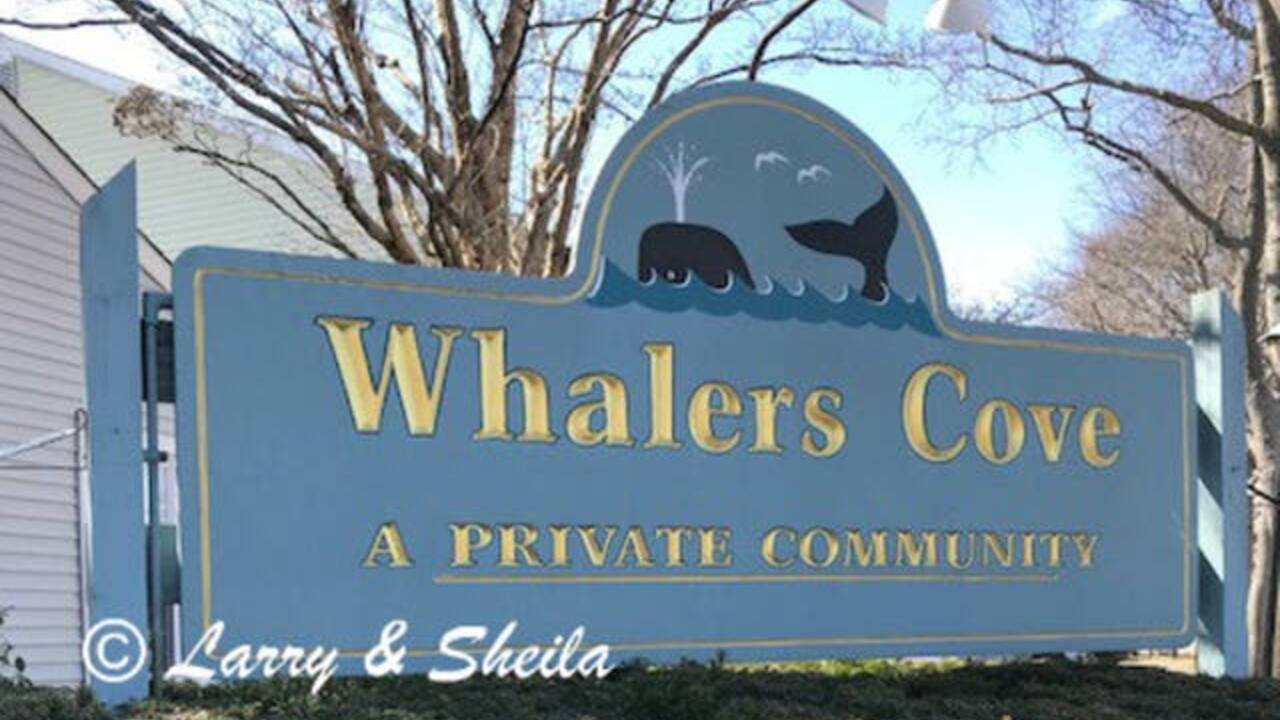 whalers_coves.jpg