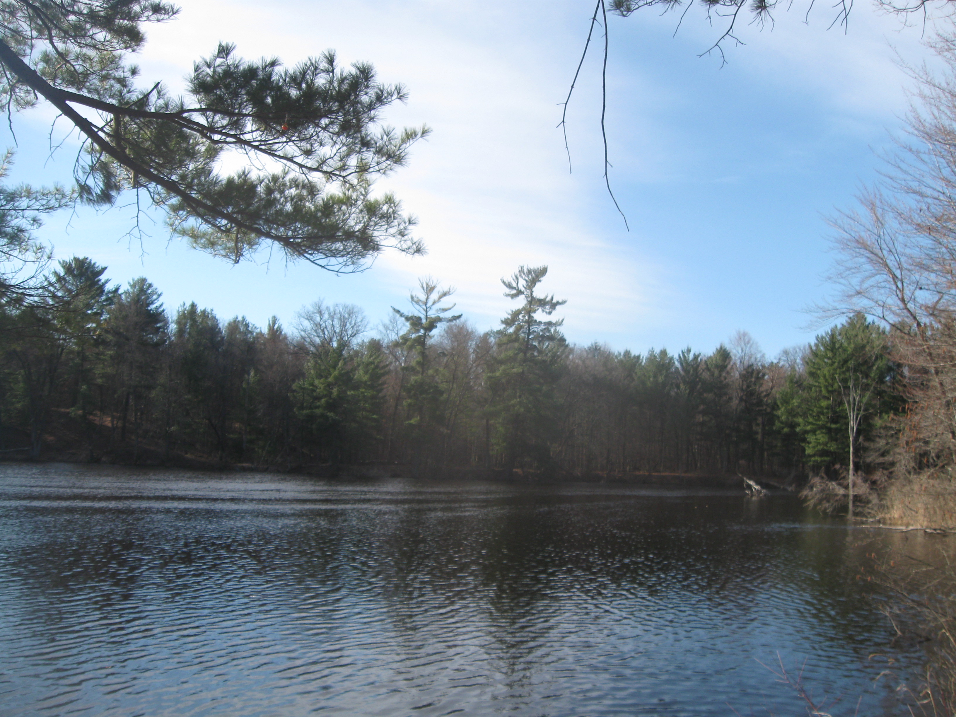 Wisconsin Forestland