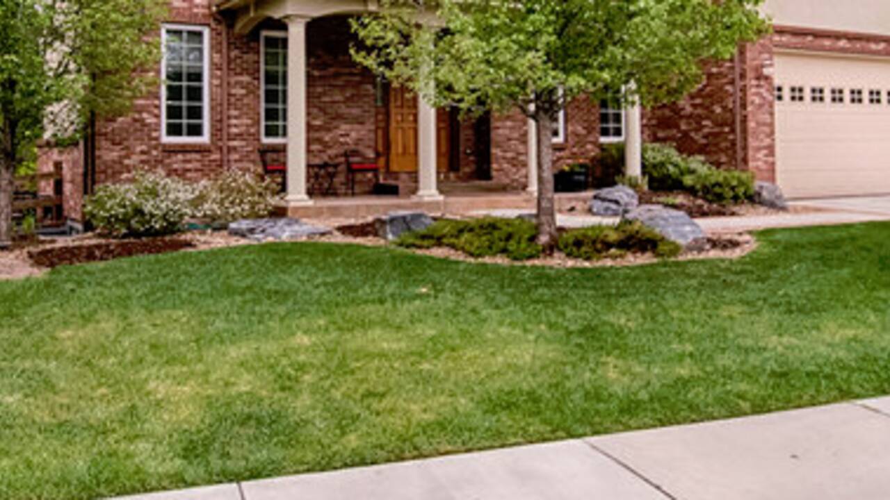 curb_appeal_2.PNG