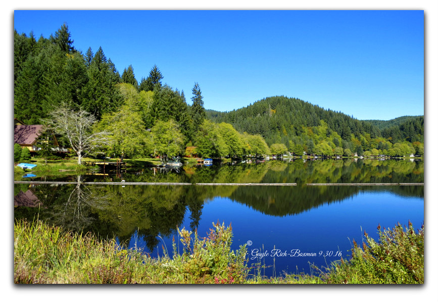 Fishhawk Lake Real EstateMany Properties are in Sale P