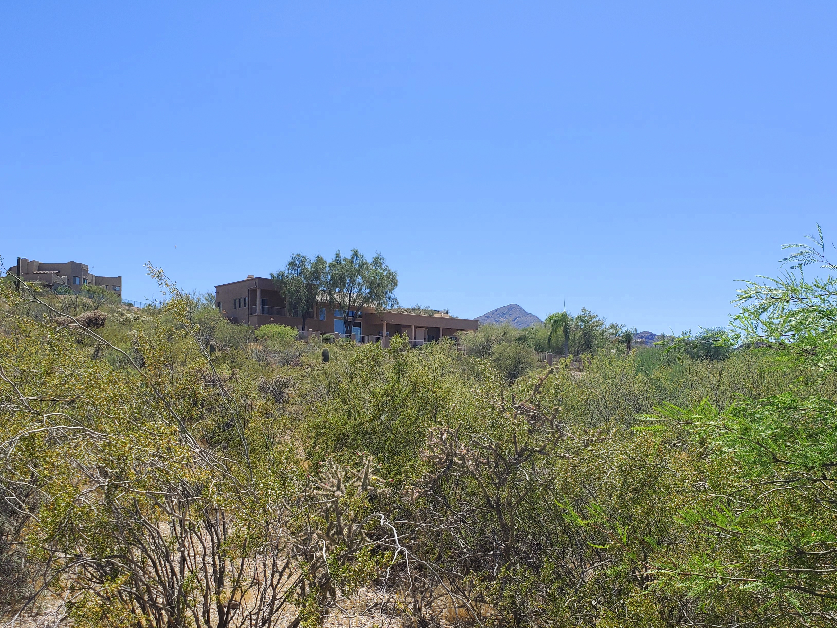 Horse Properties In Tucson and Marana