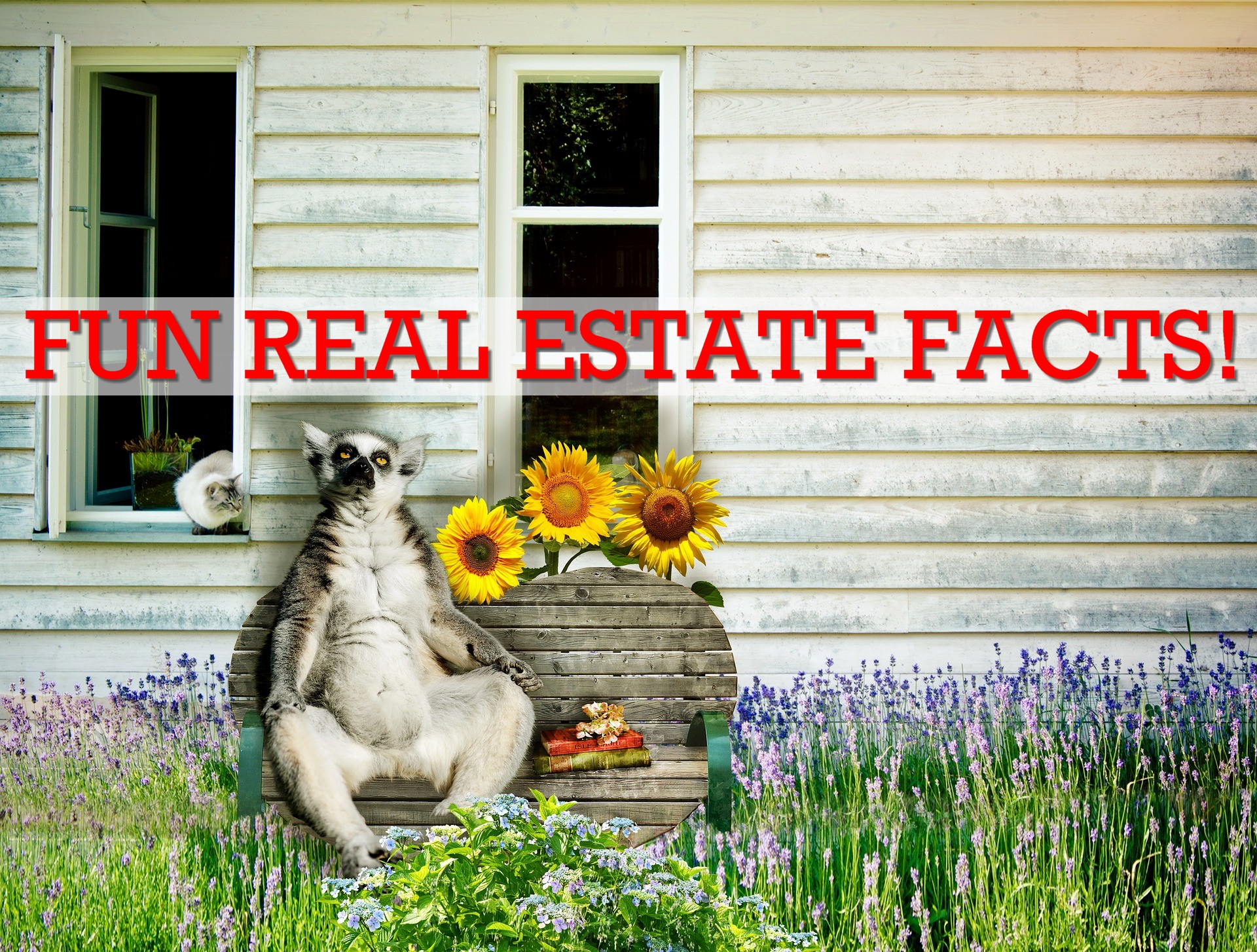Fun Real Estate Facts Fun Real Estate Facts