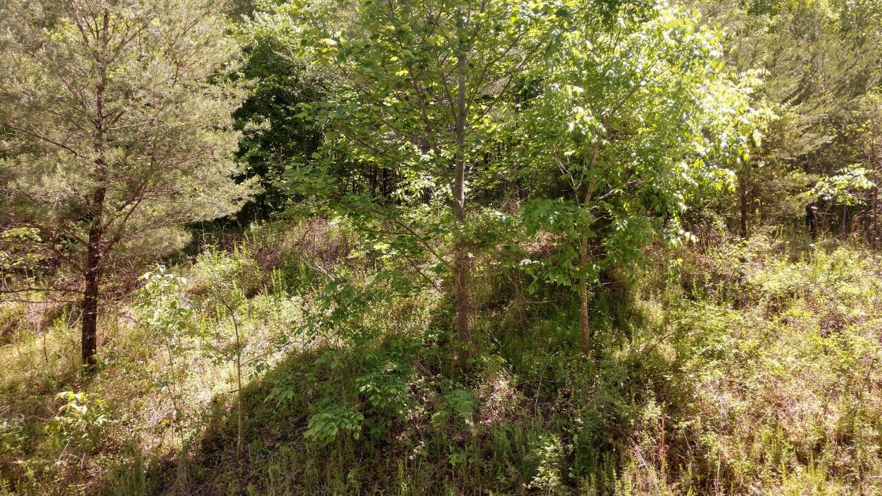 Cross_Creek_Drive_Lot__143_V1.jpg