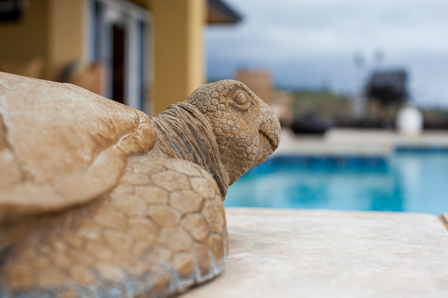 Rule 2 to Rule 23 to Bill 108 Hawaii Vacation Rental