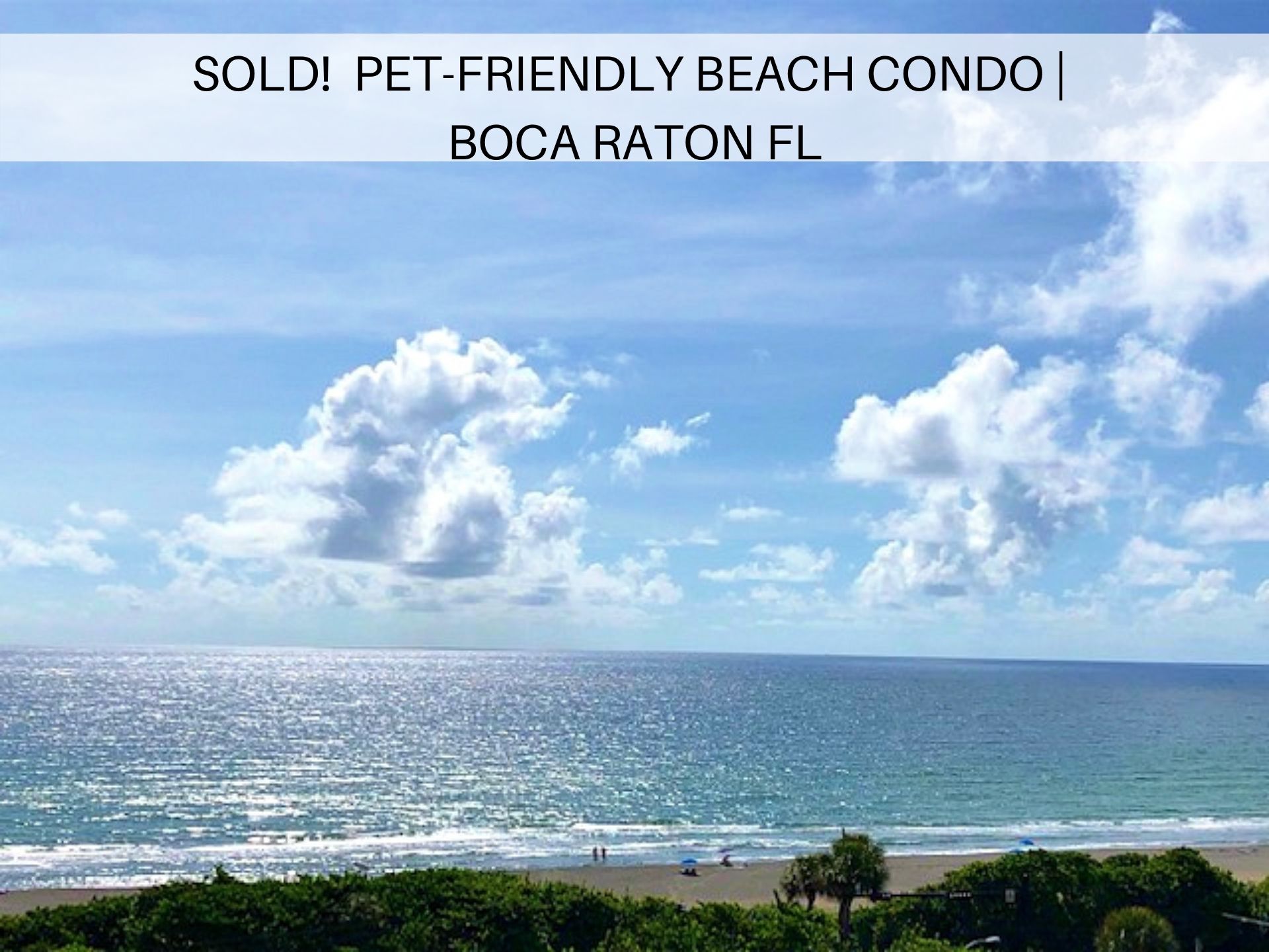 Sold! PetFriendly Beach Condo Boca Raton FL