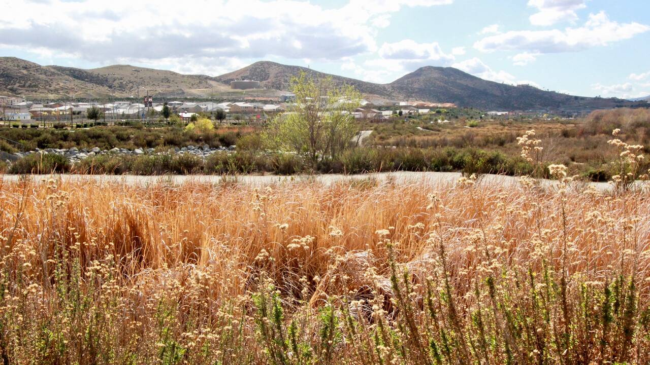 Audie Murphy Ranch Menifee Homes For Sale