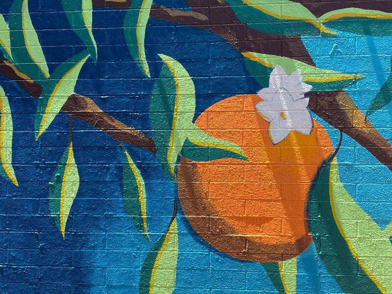 Carlsbad_Art_Wall_April_2024_partial_view.jpg