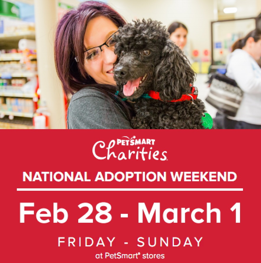 PETSMART_National_Adoption_Weekend_Feb_2020.jpg