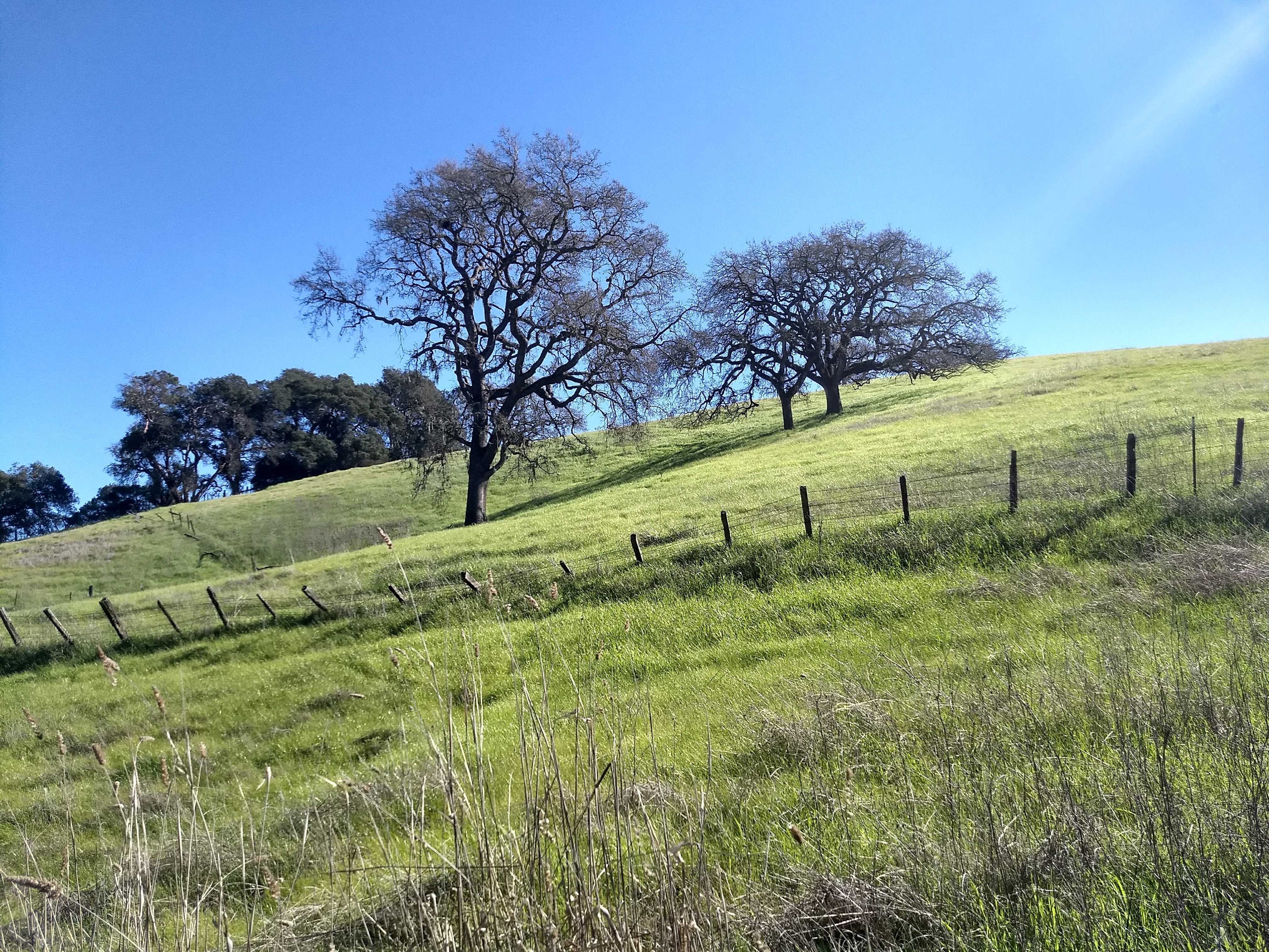 170+ Acre Sonoma County Ranch, Wine Country, CA