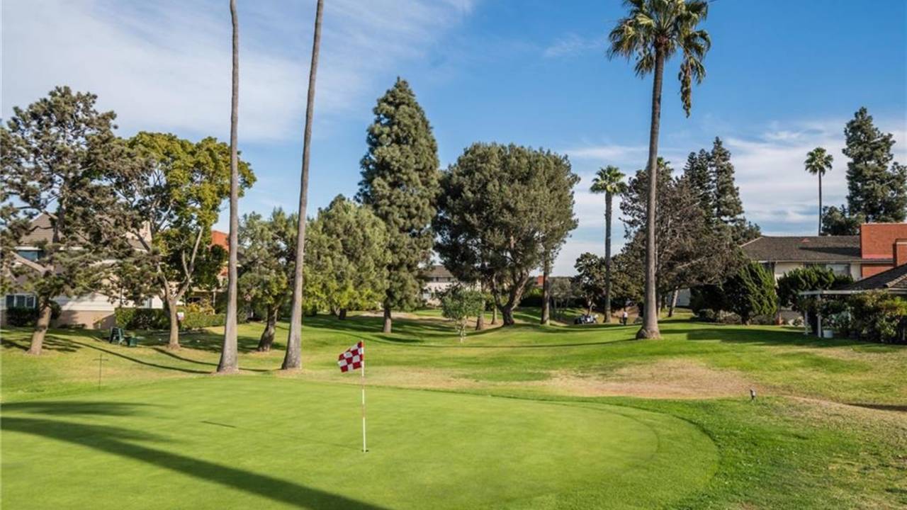 New-Horizons-senior_55_torrance.jpg