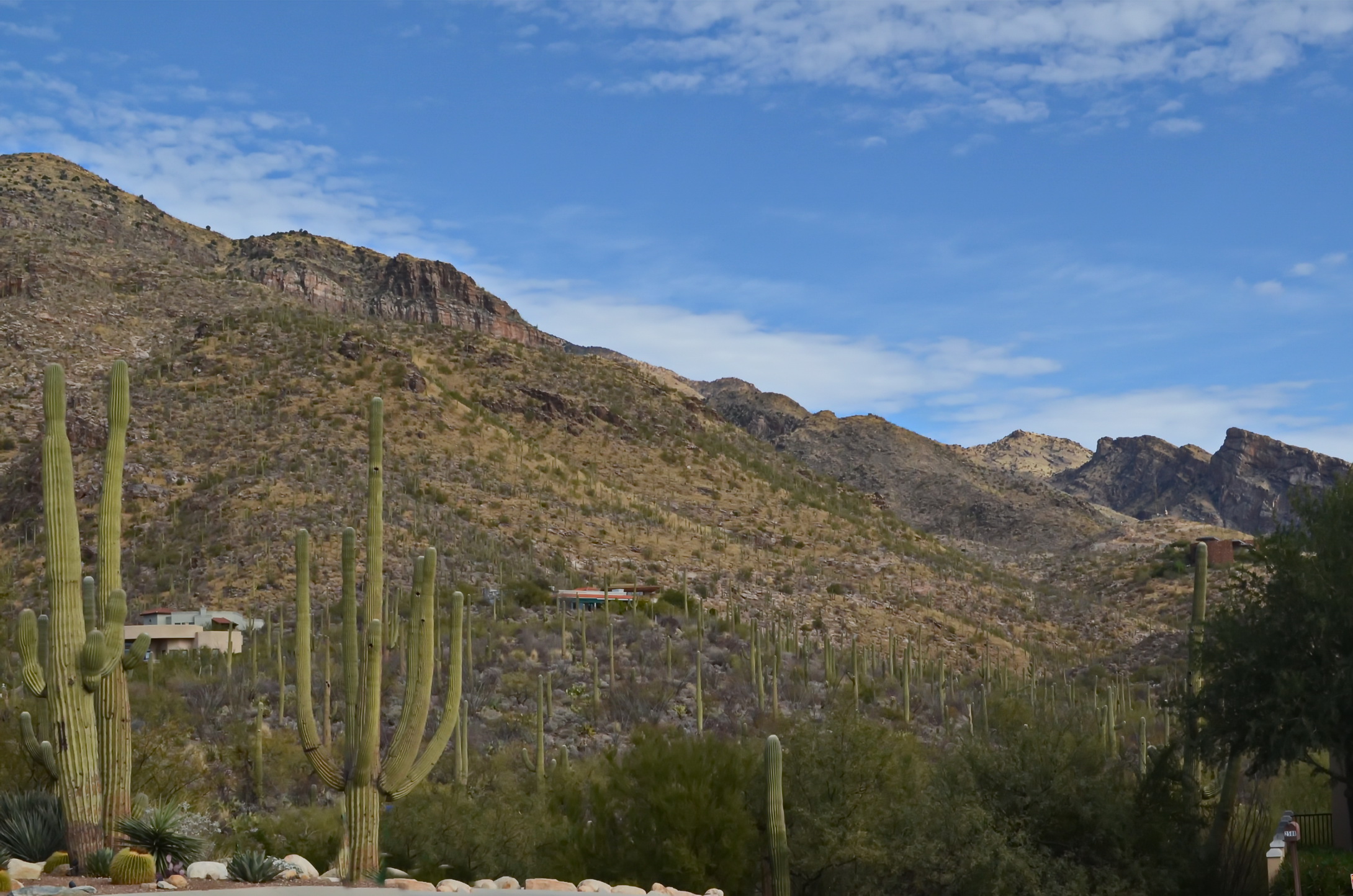 Villa Milano Homes at Rancho Sin Vacas in North Tucson