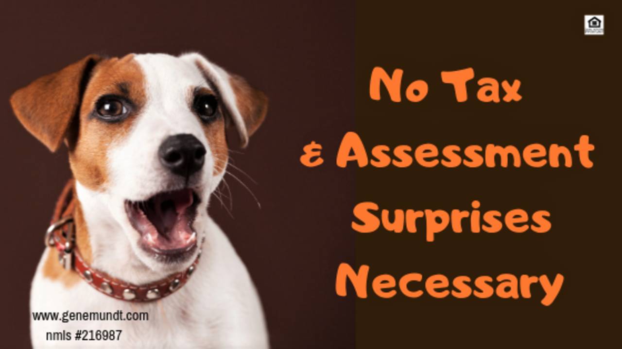 No_Tax_Assessment_Surprises_Necessary.png