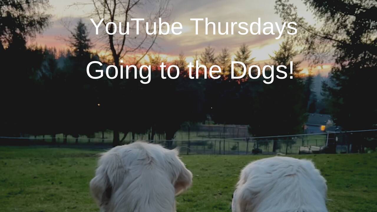 YouTube_Thursdays_Going_to_the_Dogs!.png