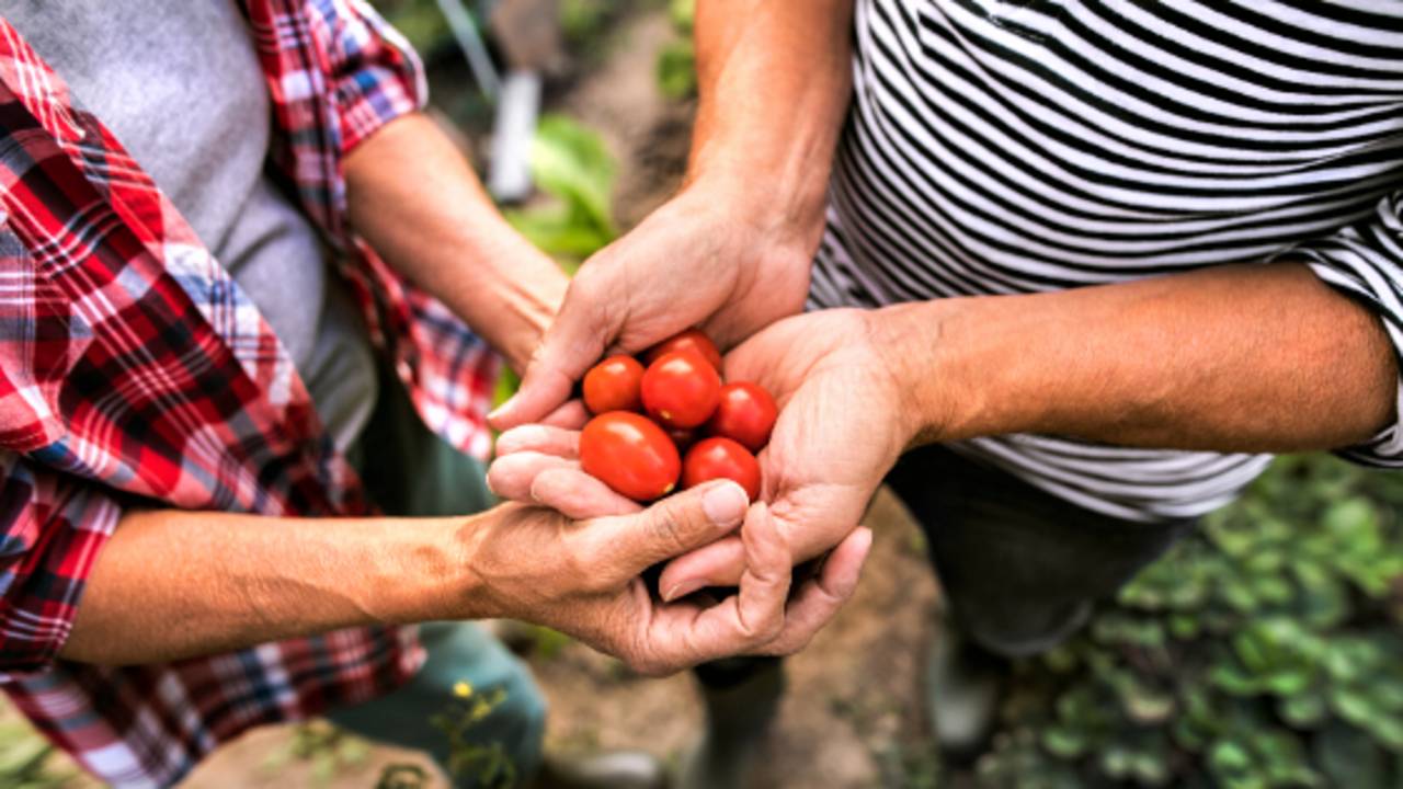 Gardening_Veggies_Blog_Banner.png