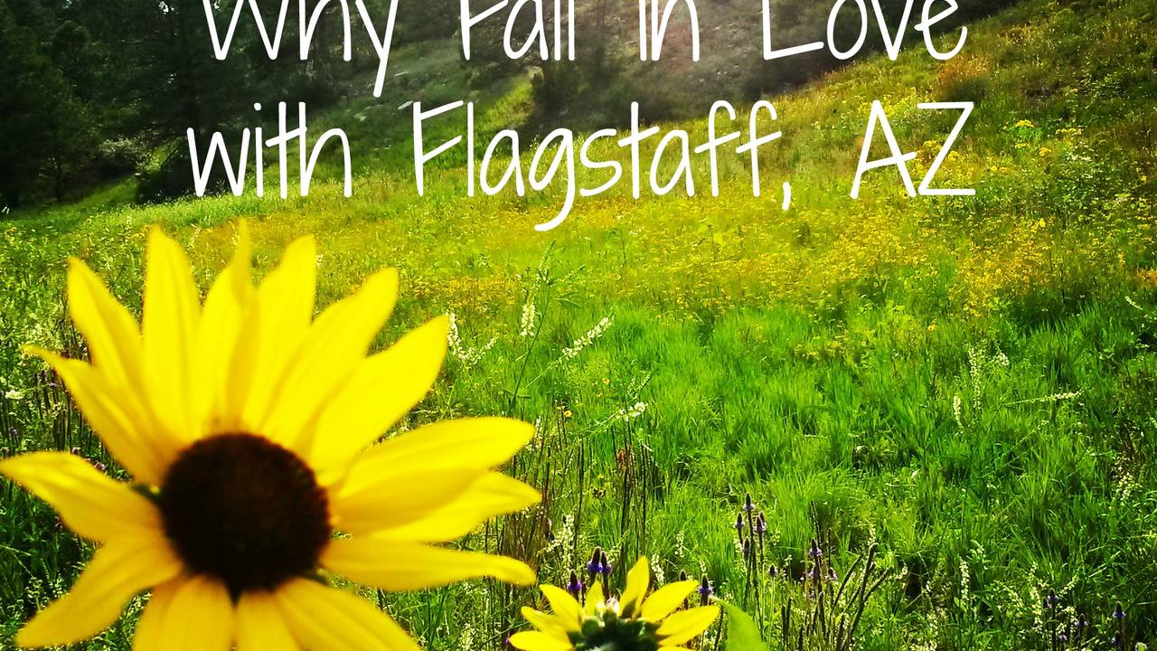 Fall_in_Love_with_Flagstaff_AZ.jpg