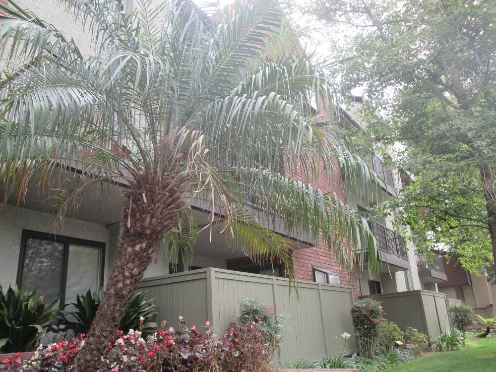 What Is My Cordova Park Villas Condo in Pasadena Worth?