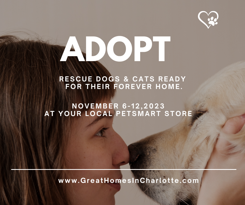 Save A Life This Week At PetSmart