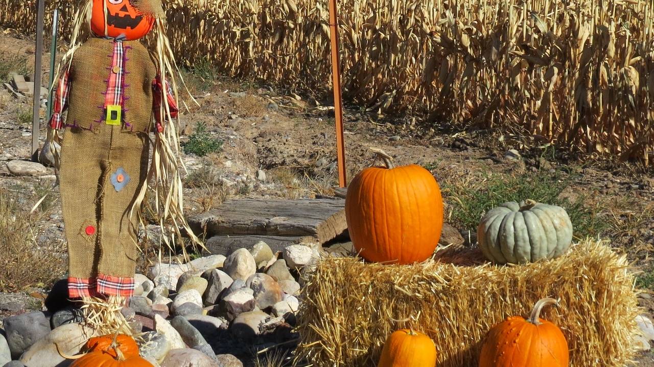 Pioneer Place Affordable Homes for Sale Delta, CO Real