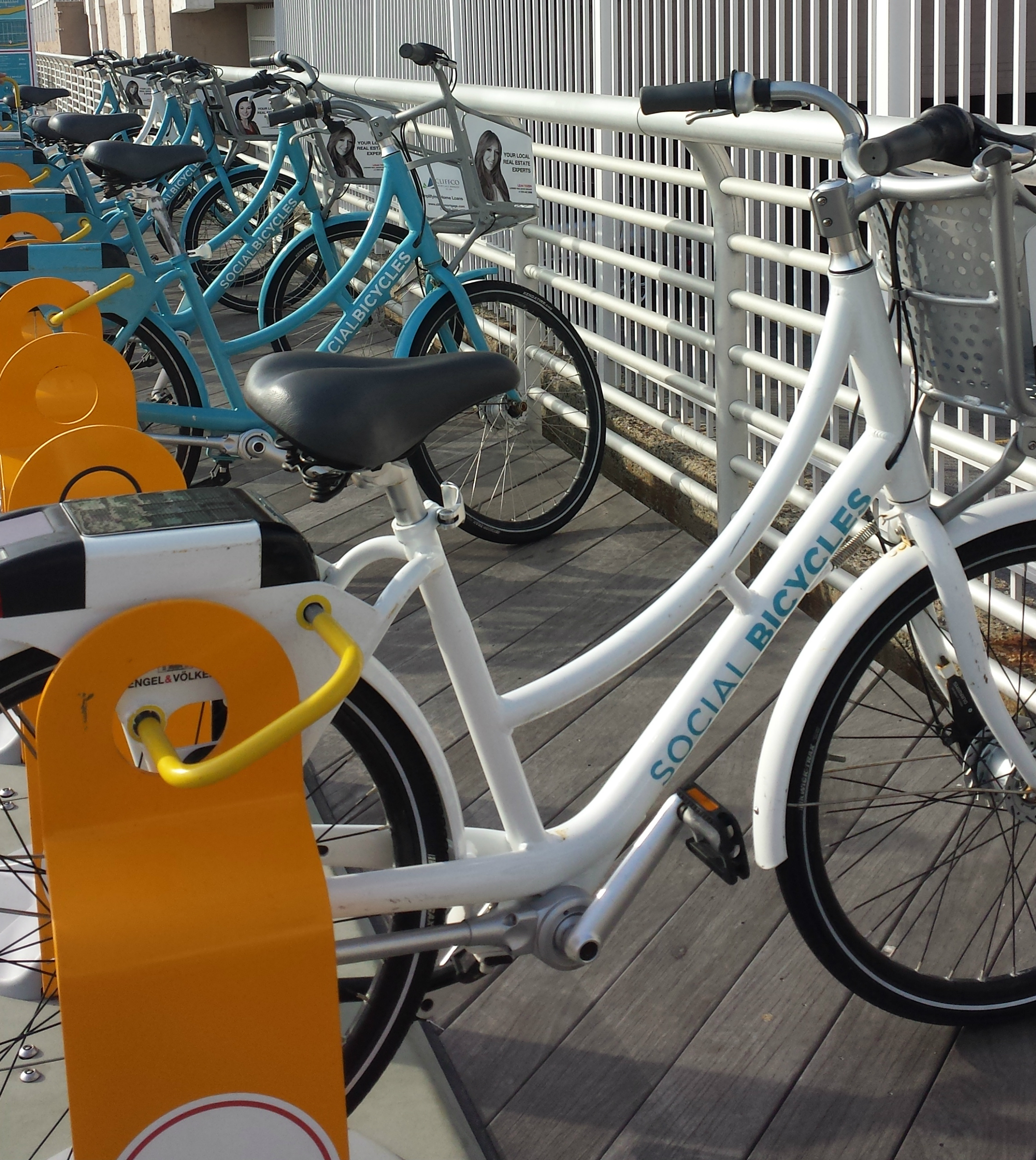 long beach bicycle