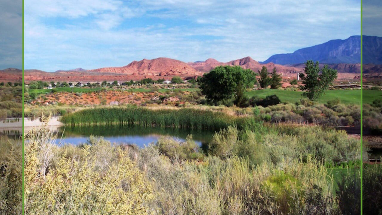 coral_canyon_golf_course_2_copy_22.jpg