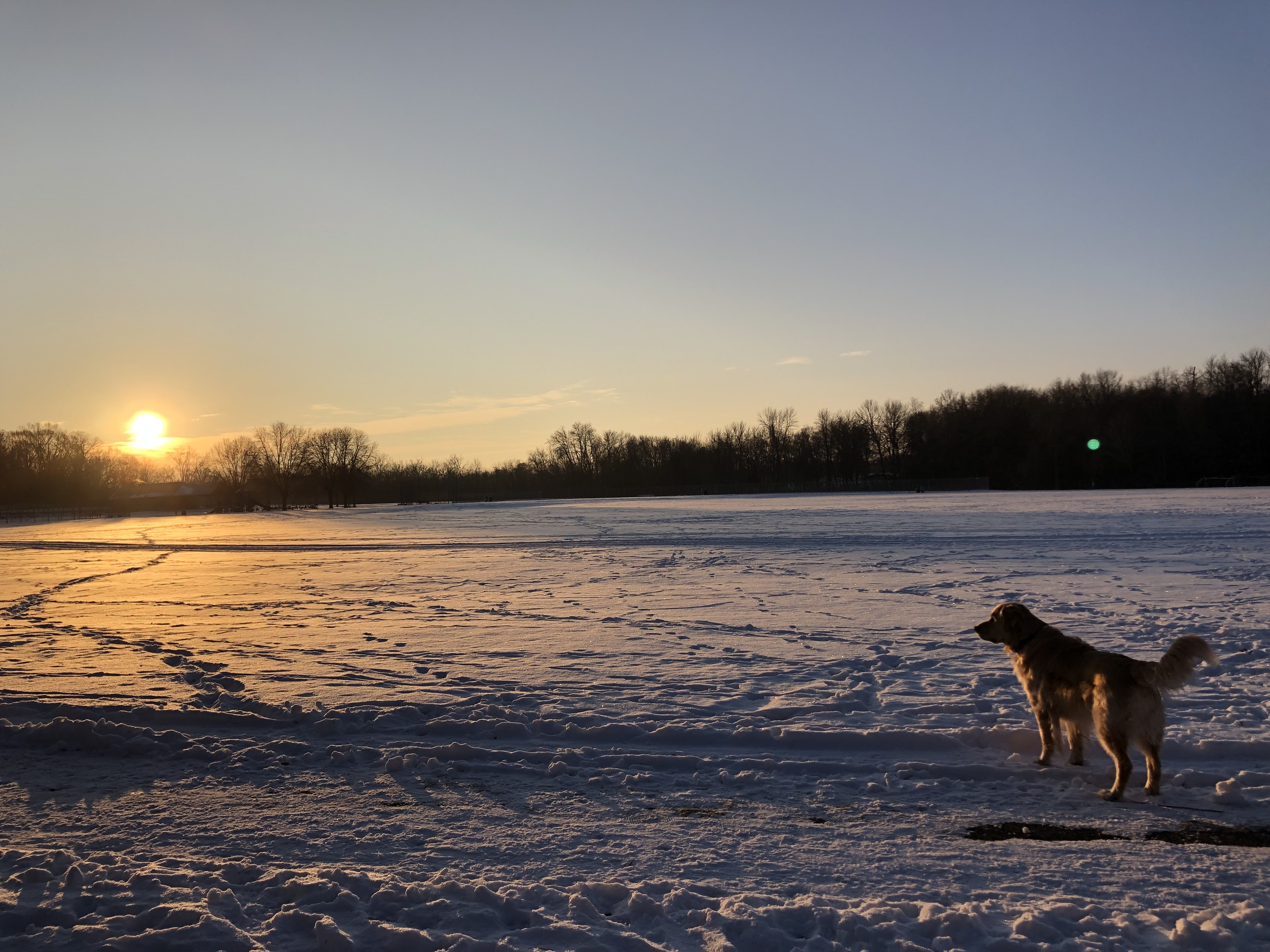 Living in DogFriendly Shorewood, MN!