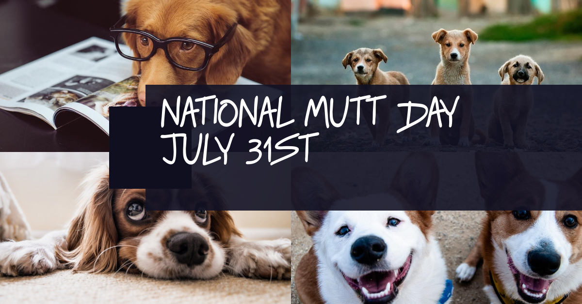 Happy National Mutt Day To The Mutts And Their Parents!