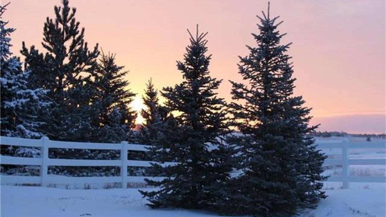 Winter-sunrise-in-Peyton.jpg
