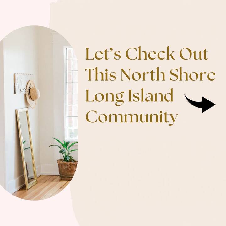 lets_check_north_shore.jpg