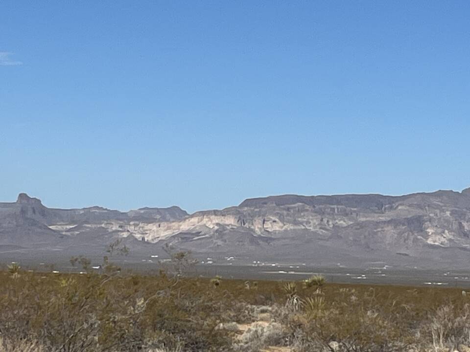 260626.Blk.Mtns.Couger.02.JPG