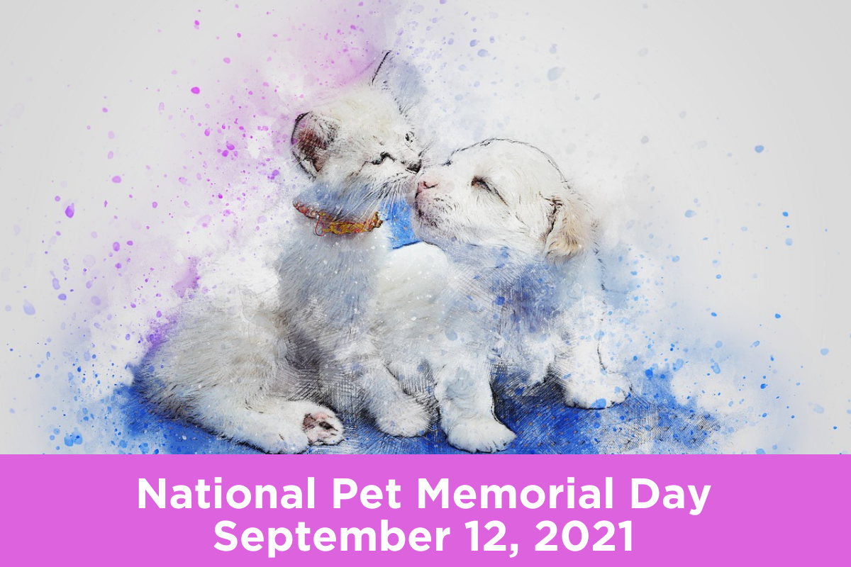 National Pet Memorial Day Sunday, September 12, 2021