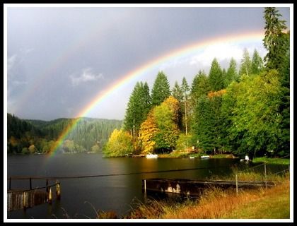 Rainbows_on_the_spillway_at_Fishhawk_Lake_5ff1a64bb200a1843b1c33c221a21238.jpg