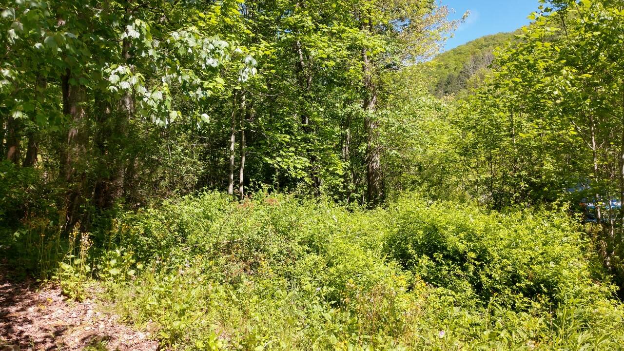 Duck_Mill_Road_Main_Photo.jpg