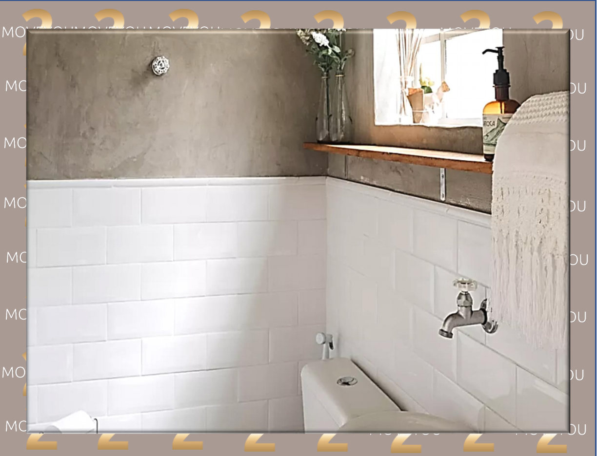 5 Best Bathroom Wall Options