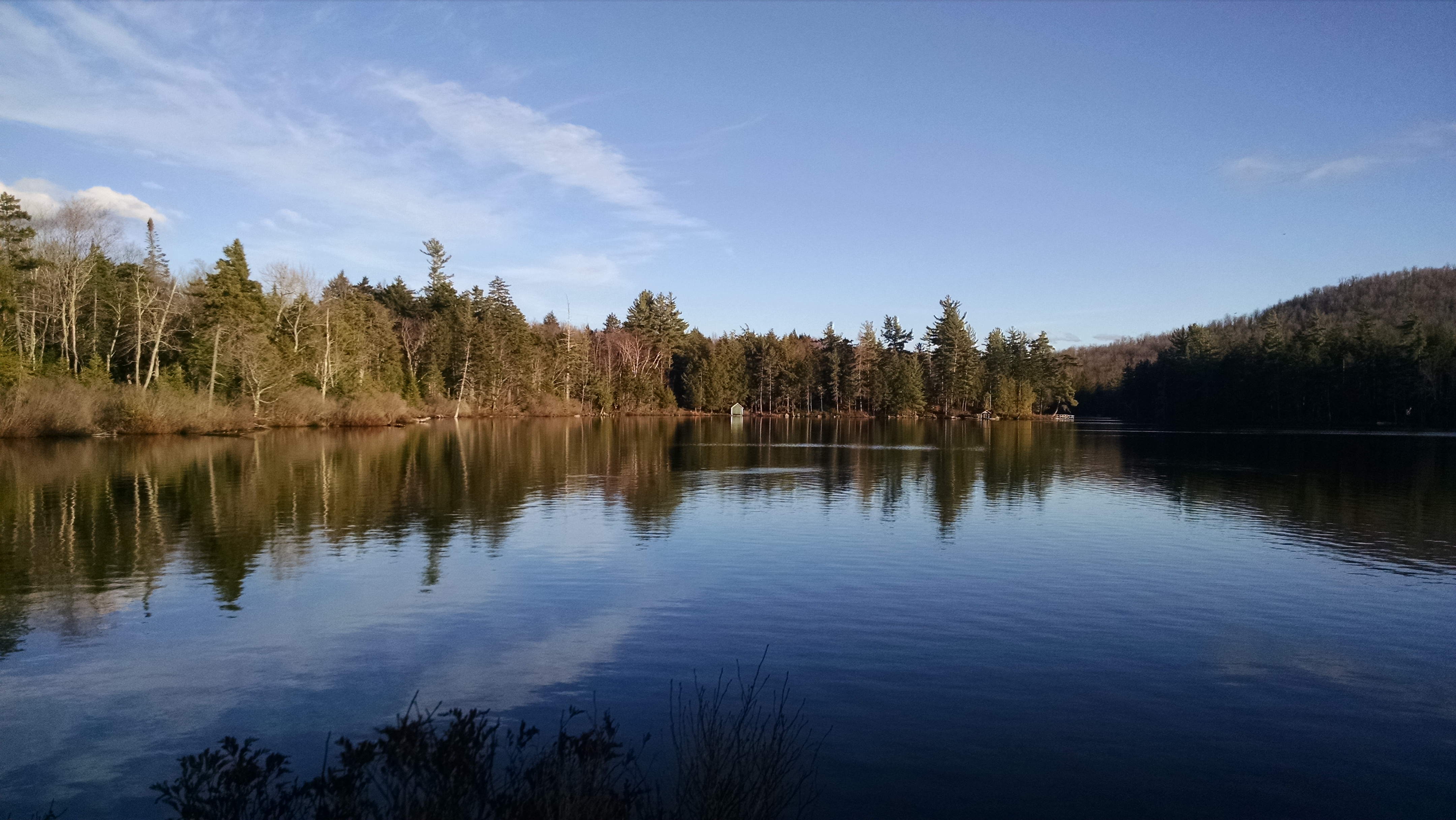 The Woodland Report Fond du Lac County; Hunting, Timb