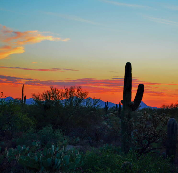 Dipper_Preserve_Sunset_5.jpg