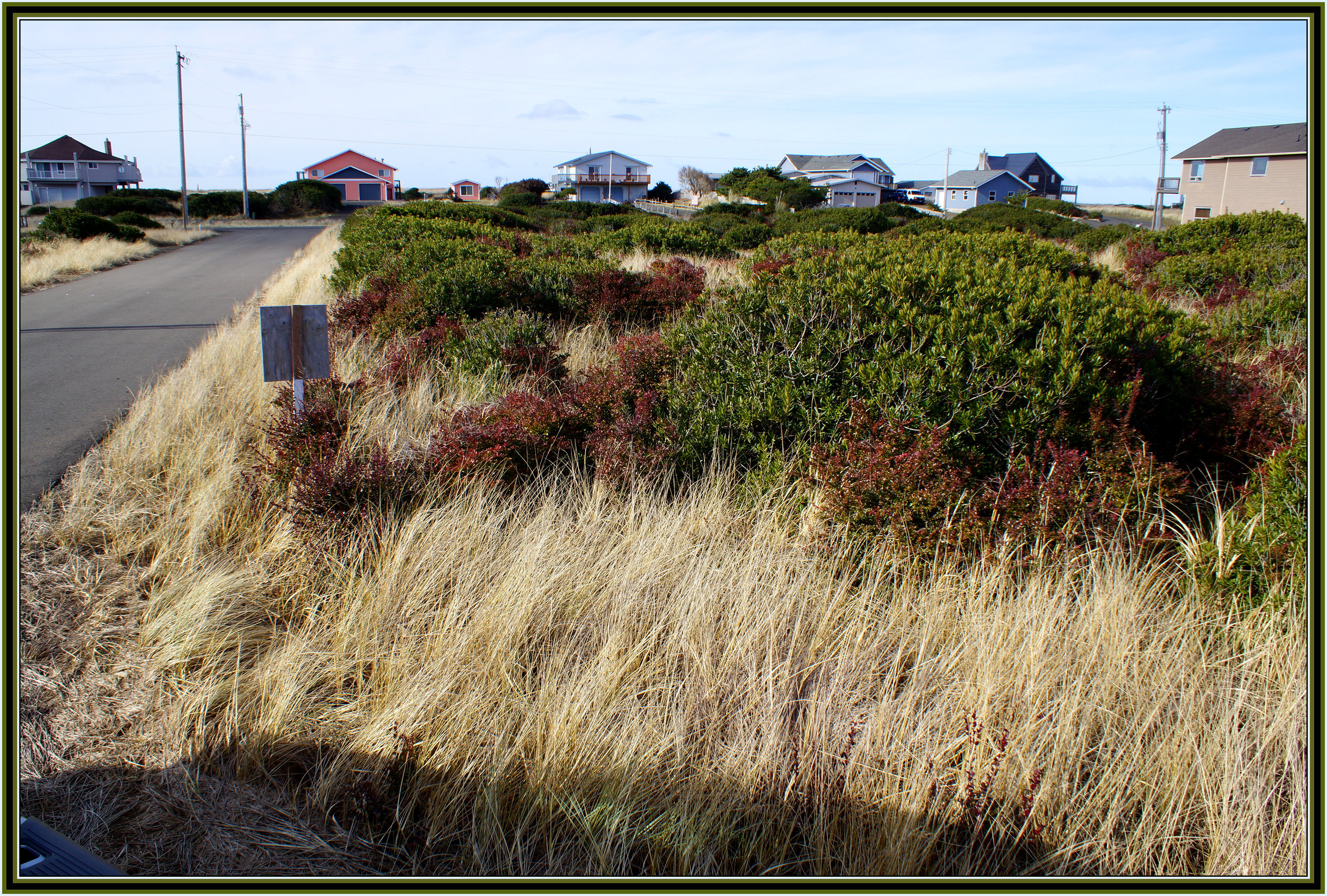 Ocean Shores Real Estate. Build or RV camp. 9k