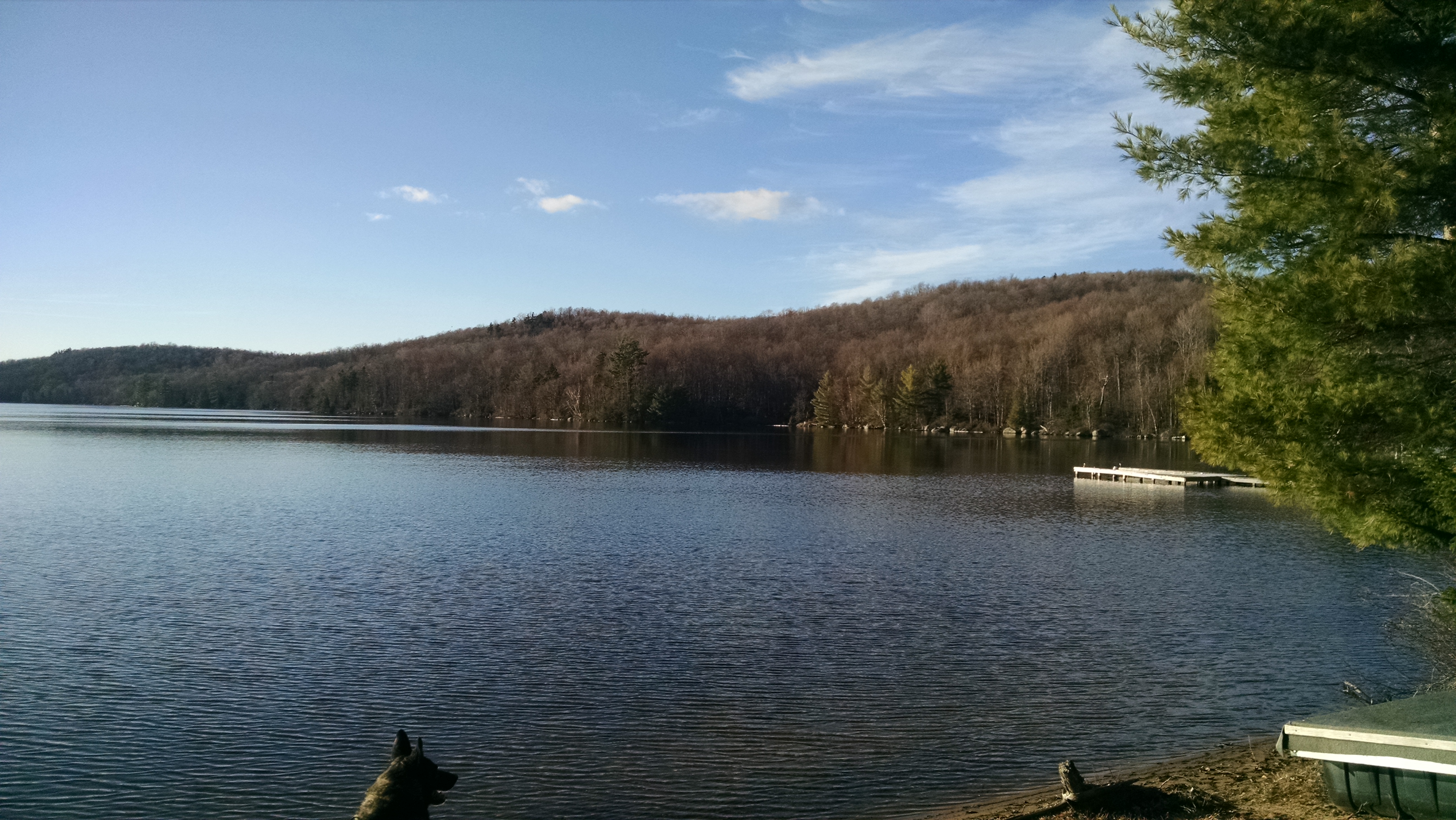 The Woodland Report Brown County; Hunting, Developmen