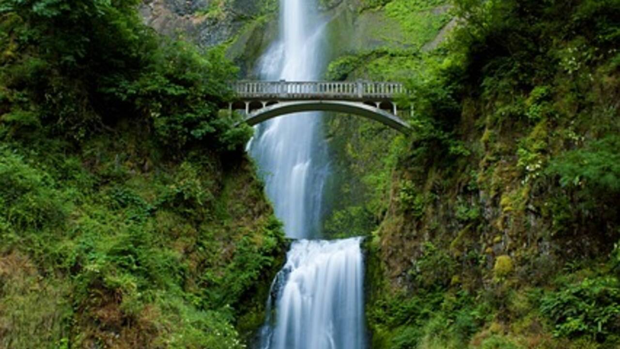 Oregon.png
