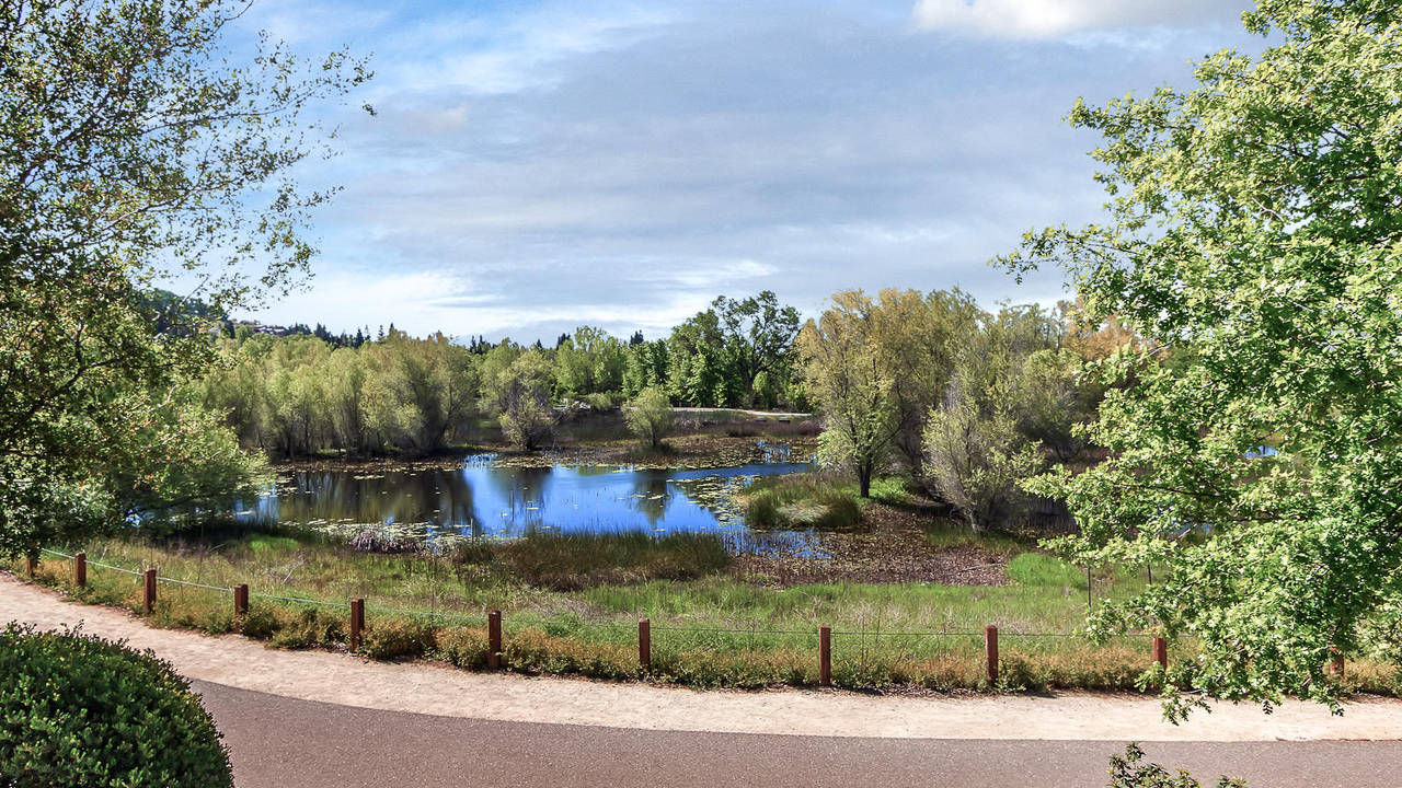 1584_Manasco_Cir_Folsom_CA-large-039-27-Rear_Views-1500x1000-72dpi.jpg