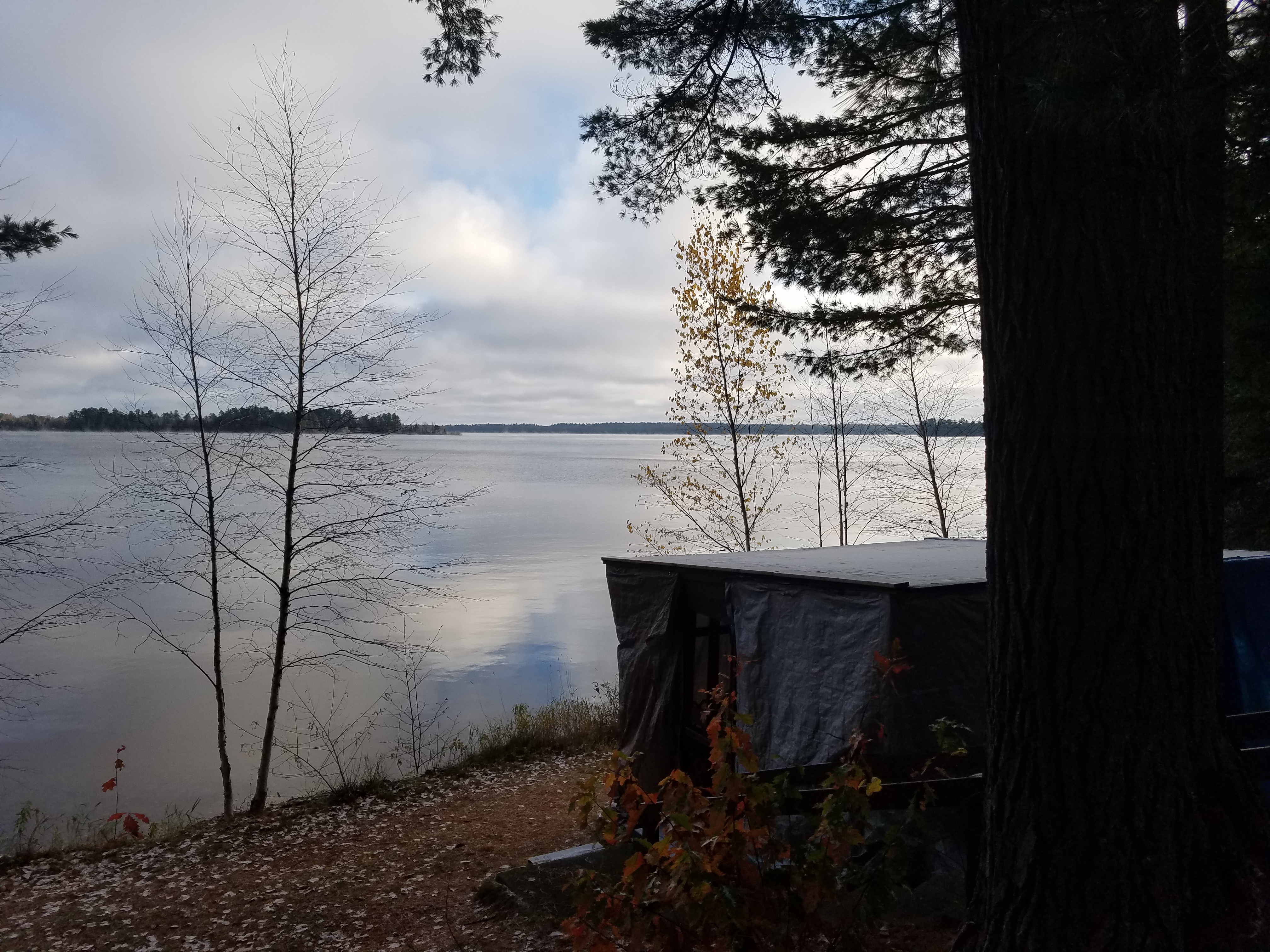 The Woodland Report Green Lake County; Hunting, Timbe