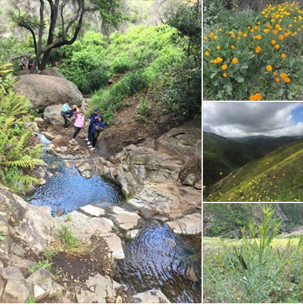 Rancho Sierra Vista/ Satwiwa Best hiking trails in Newb